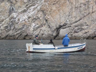 Прикрепленное изображение: IMG_0452.JPG